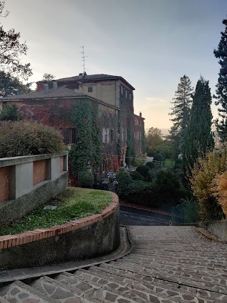 Ente Diocesano Salvezza Educazione Gioventu Edseg