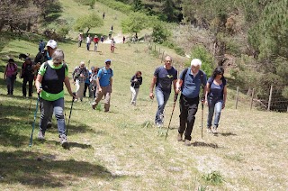 Artemisia per il turismo sostenibile e l'educazione ambientale