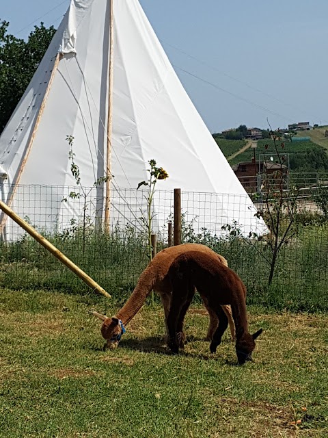 Fattoria Didattica "La G. Raffa"