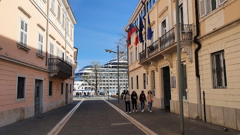 The Faculty of Mathematics, Natural Sciences and Information Technologies