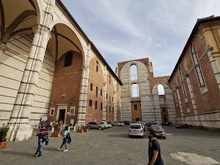 Museo - Opera della Metropolitana