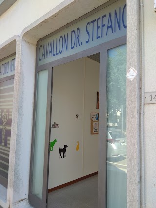 Dr. Stefano Cavallon