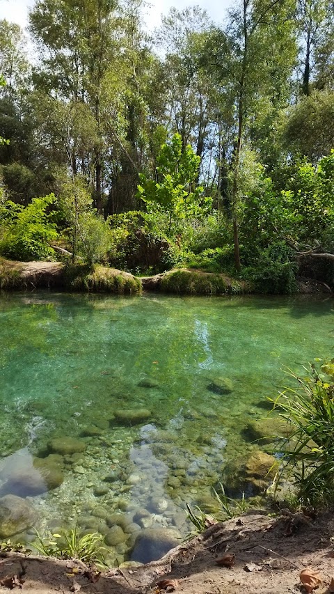 Crystal clear water