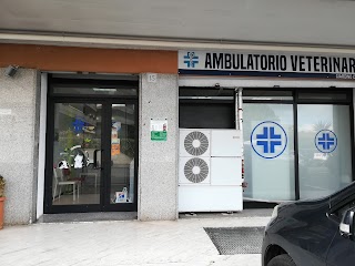 Ambulatorio Veterinario Giardino di Roma