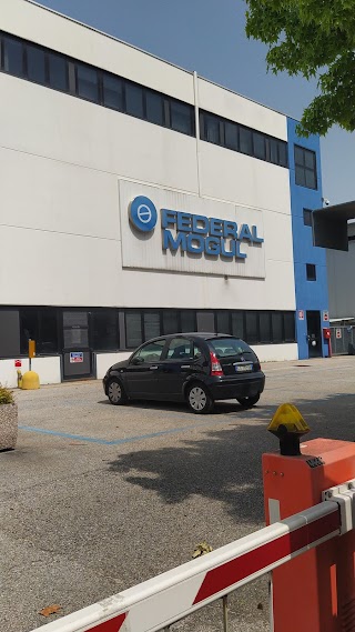 Federal - Mogul Italy Srl