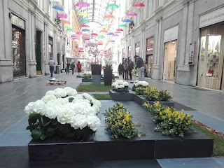 Floricoltura Vivai Cademartori