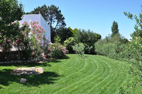 PalmaFlora casa vacanze nei trulli