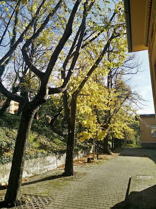 Università di Trieste - Dipartimento di Scienze della Vita