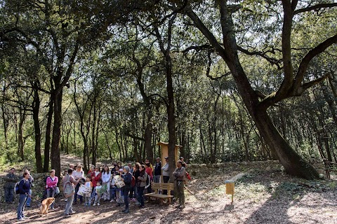 Centro Visite Bosco delle Pianelle