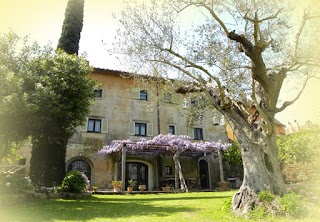 Borgo di Ceri B&B