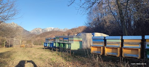 Azienda Agricola Rosaspina di Tanasa Valentina