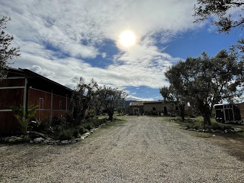 Centro di riproduzione equina Scaravet