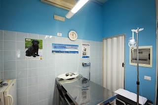 Clinica Veterinaria Sant'Anna