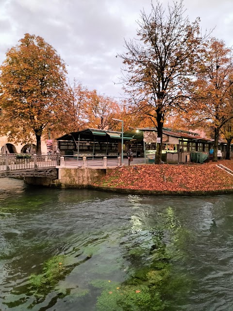 Casa del Caffè