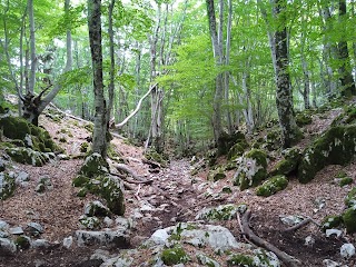 Inizio sentiero per Monte gennaro