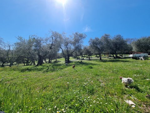 Podere Belvedere Tuscany