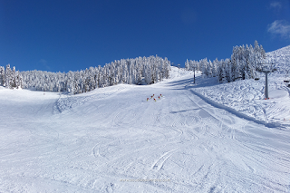 Scuola Sci e Snowboard Verena