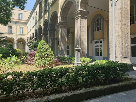 Facoltà di Medicina e Chirurgia - Università degli Studi della Campania "Luigi Vanvitelli"