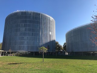 Università Bocconi