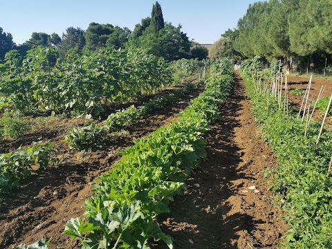 Agriturismo Masseria Tarantini