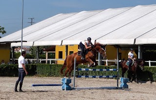 L’Associazione Sportiva “Cavalli del Brenta”