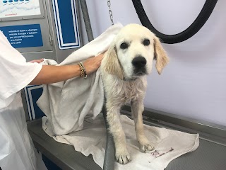 Wash Dog Cremona - Lavaggio cani self service