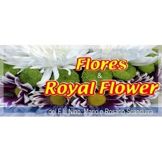 Flores e Royal Flower