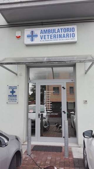 Ambulatorio Veterinario 'Piccinini' Di Pizzorni Dr. Stefano E Dr. Rocchi Ylenia