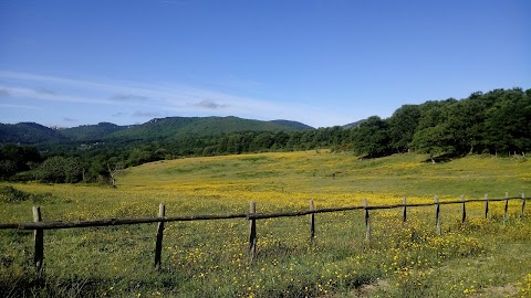 Comunale Macchiosi