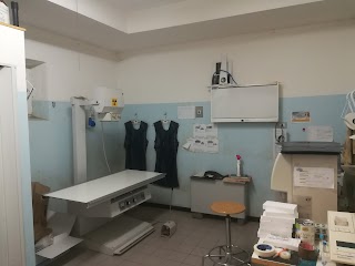 Ambulatorio Veterinario Bellaria