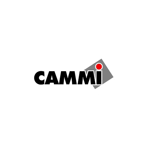 Cammi Group S.p.A. - Azzano Mella