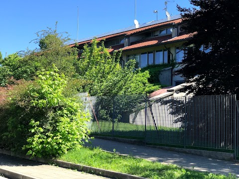 Liceo Scientifico Statale "Arturo Tosi"