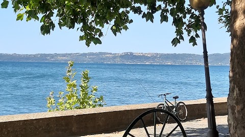 Bar Del Golfo