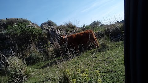 La Pineta Casa Vacanza