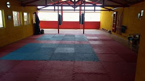 Instituto Energia Vital - Academia e Artes Marciais , MMA, Kung Fu, Boxe Chinês, Defesa Pessoal