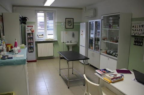 Clinica Veterinaria Croce Azzurra