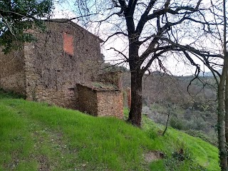 Agriturismo Frigionaia