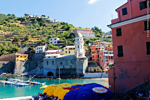 CTTours - Cinque Terre Tours - Guide turistiche Cinque Terre