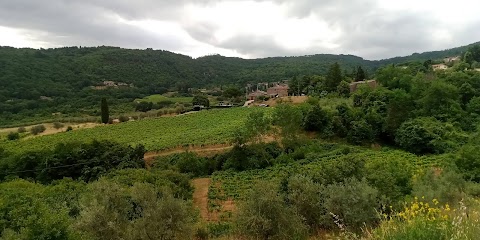 Fattoria L'Ottavo