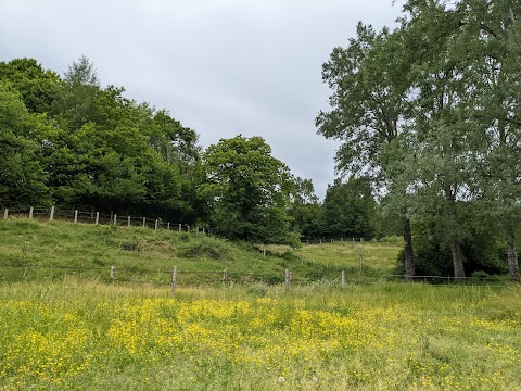 Agriturismo Il Corniolo