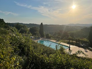 Azienda Agricola Poggio Pistolese Di Cabras Paola - Produzione e vendita vino Chianti DOCG - Olio IGP - Vino IGT Montaione