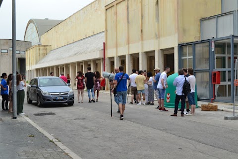 Accademia Mediterranea del Cinema - Amarcord