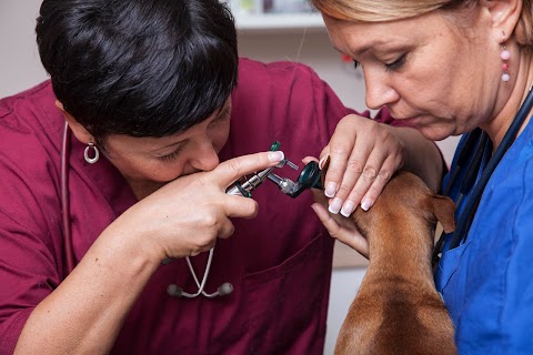 Studio Veterinario La Fenice