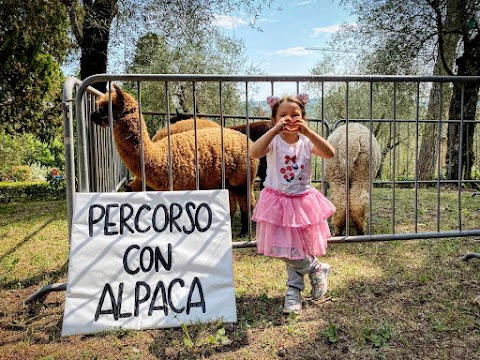 La Fattoria di Marta - Alpaca Garda