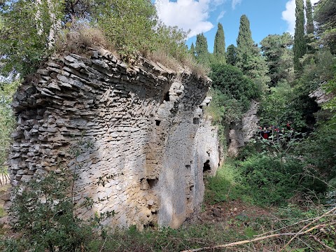 Riserva Naturale Bosco D'Alcamo