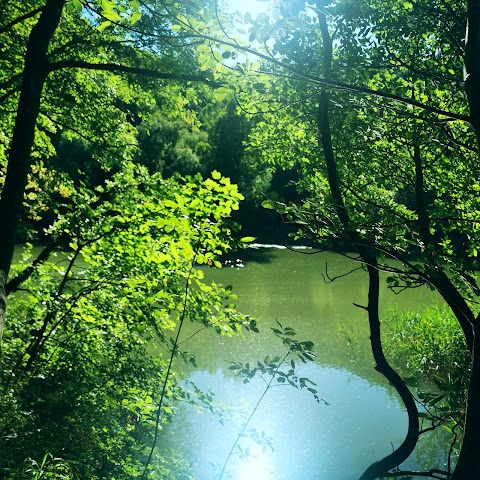 Lago di Ponte