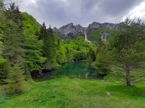 Sentiero Grandi Alberi