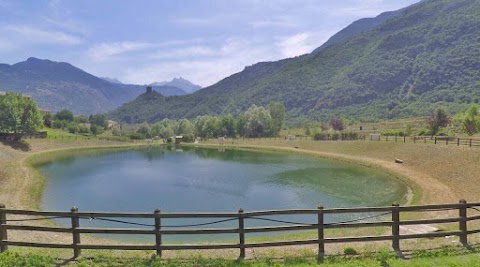 Lago Movida