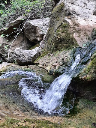 cascata dei tritoni