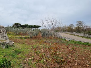 Tiny Trullo